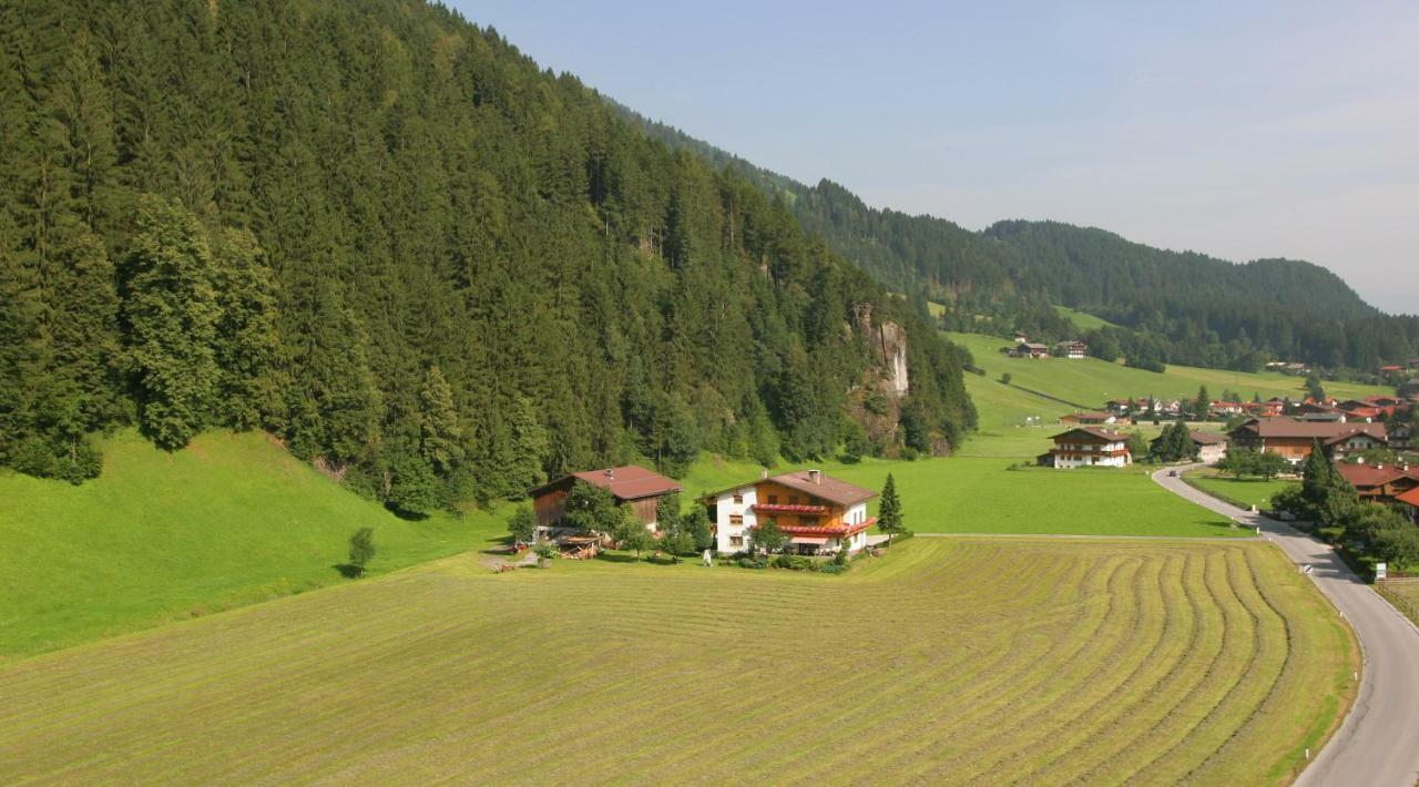 Lippnerhof Apartment Aschau Im Zillertal Luaran gambar